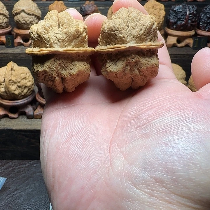 木质类临沧蝰蛇古蟾45尺精配