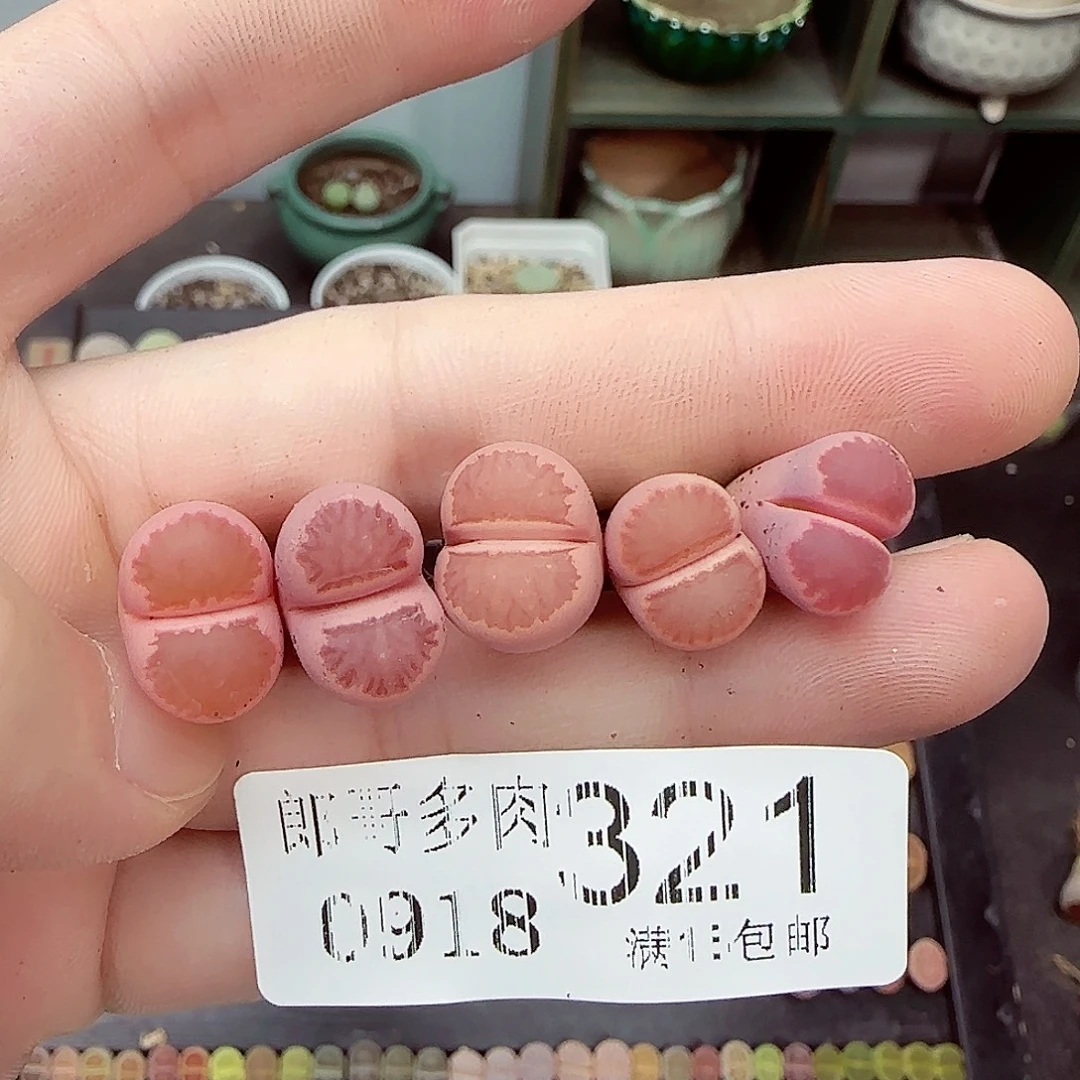 用***0满满18包邮0918-321