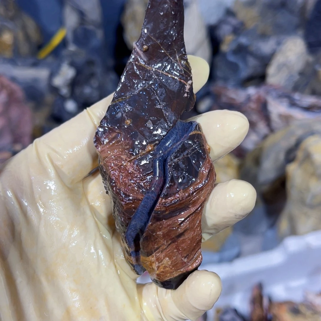 中*附石盆景一物一拍