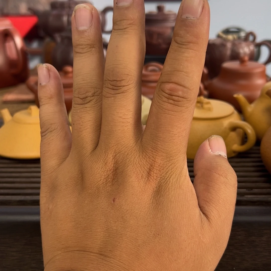 王***三紫砂茶壶手工制作