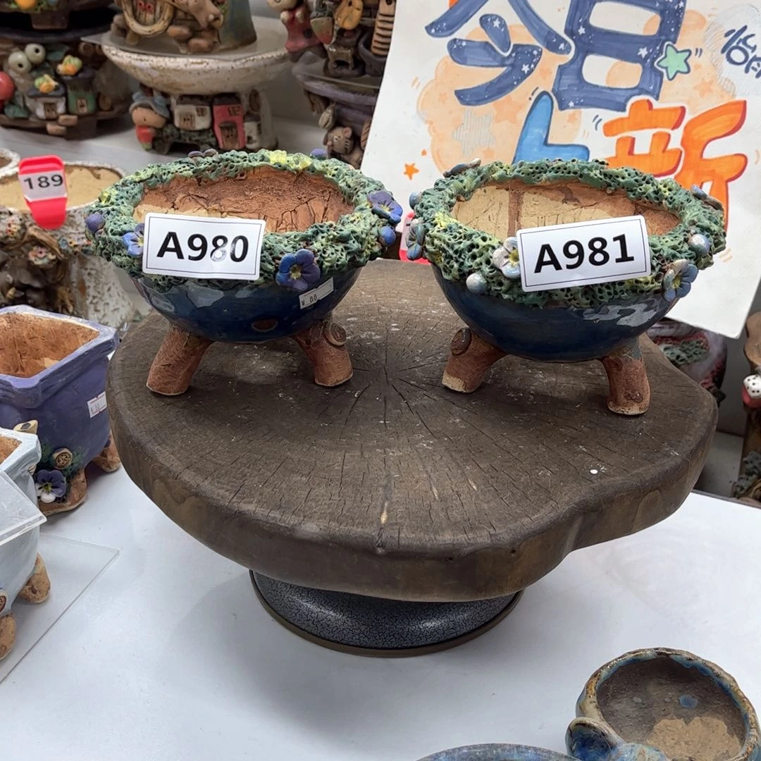 红陶缪***᭡花盆980981谬谬