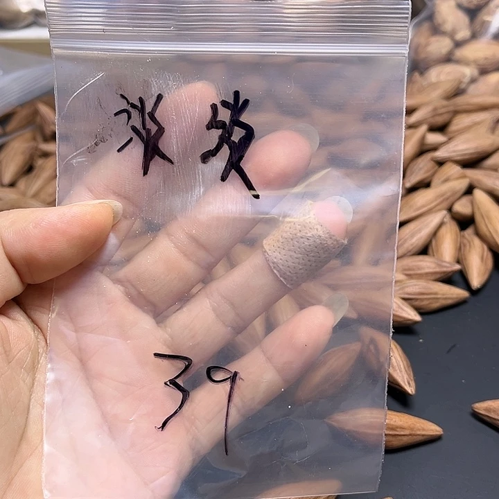 淡***淡手串/手链橄榄核1111