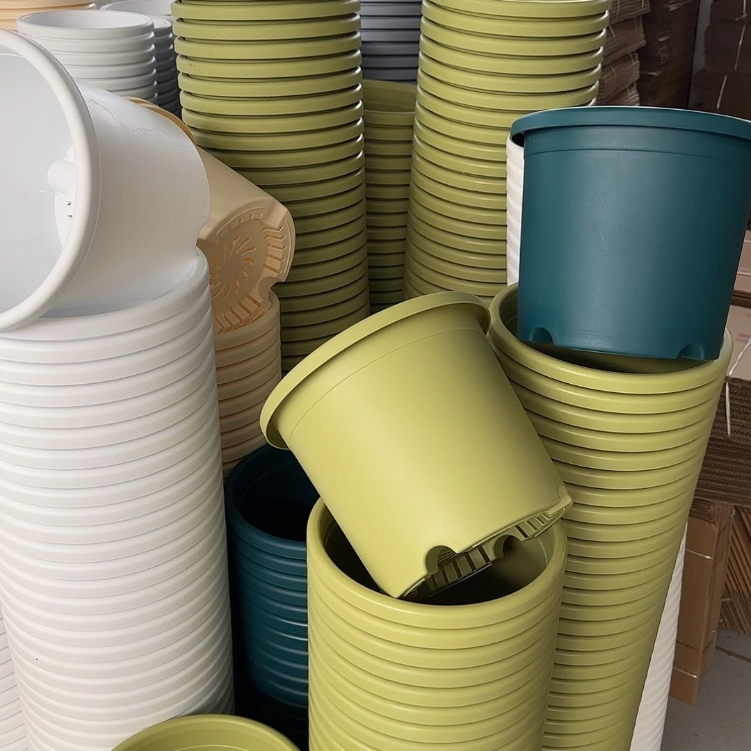 微瑕5号6个无托，果绿