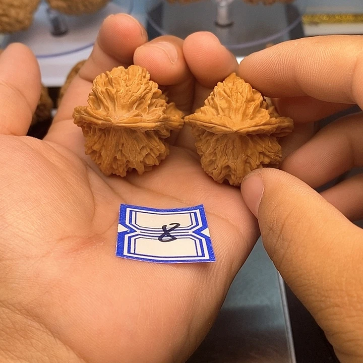 文玩核桃把件小鸟