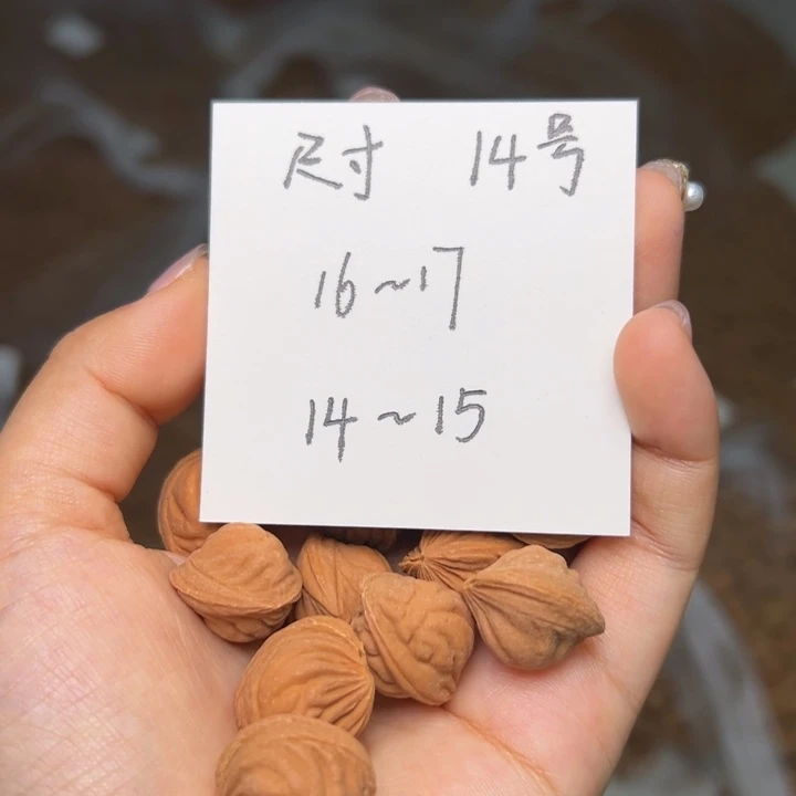 木质类秦岭龙纹桃核雕刻料