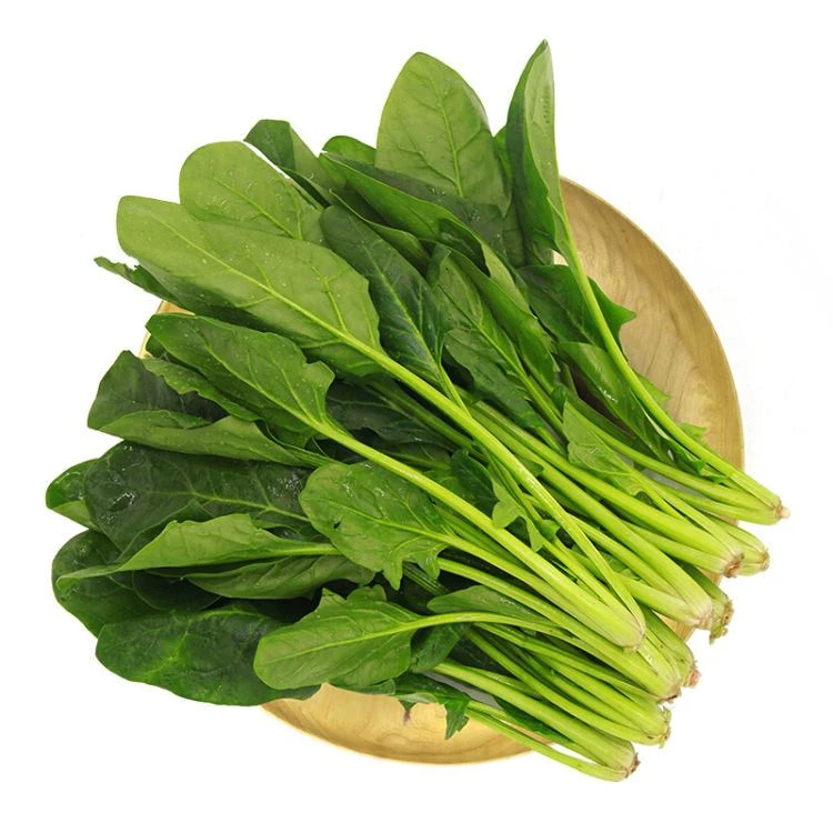 袋装菠菜/袋