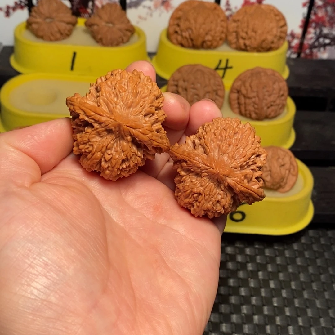 文玩核桃把件44尺满天星核桃