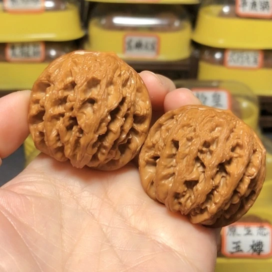 特价秒杀：九龙筋