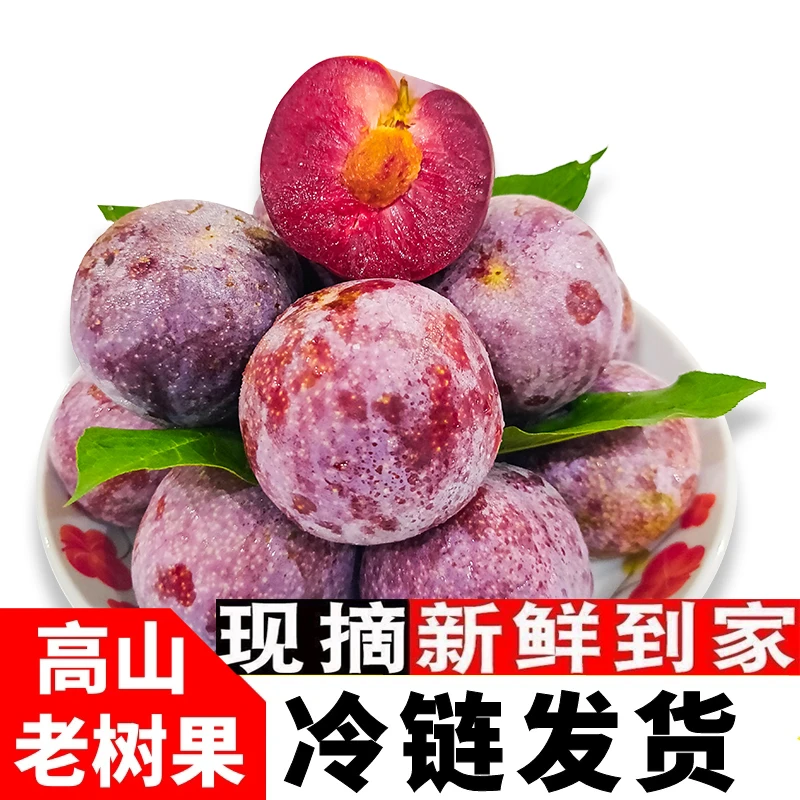 正宗产地网红广西三华李当季新鲜水果新鲜采集酸甜爽脆红心李子