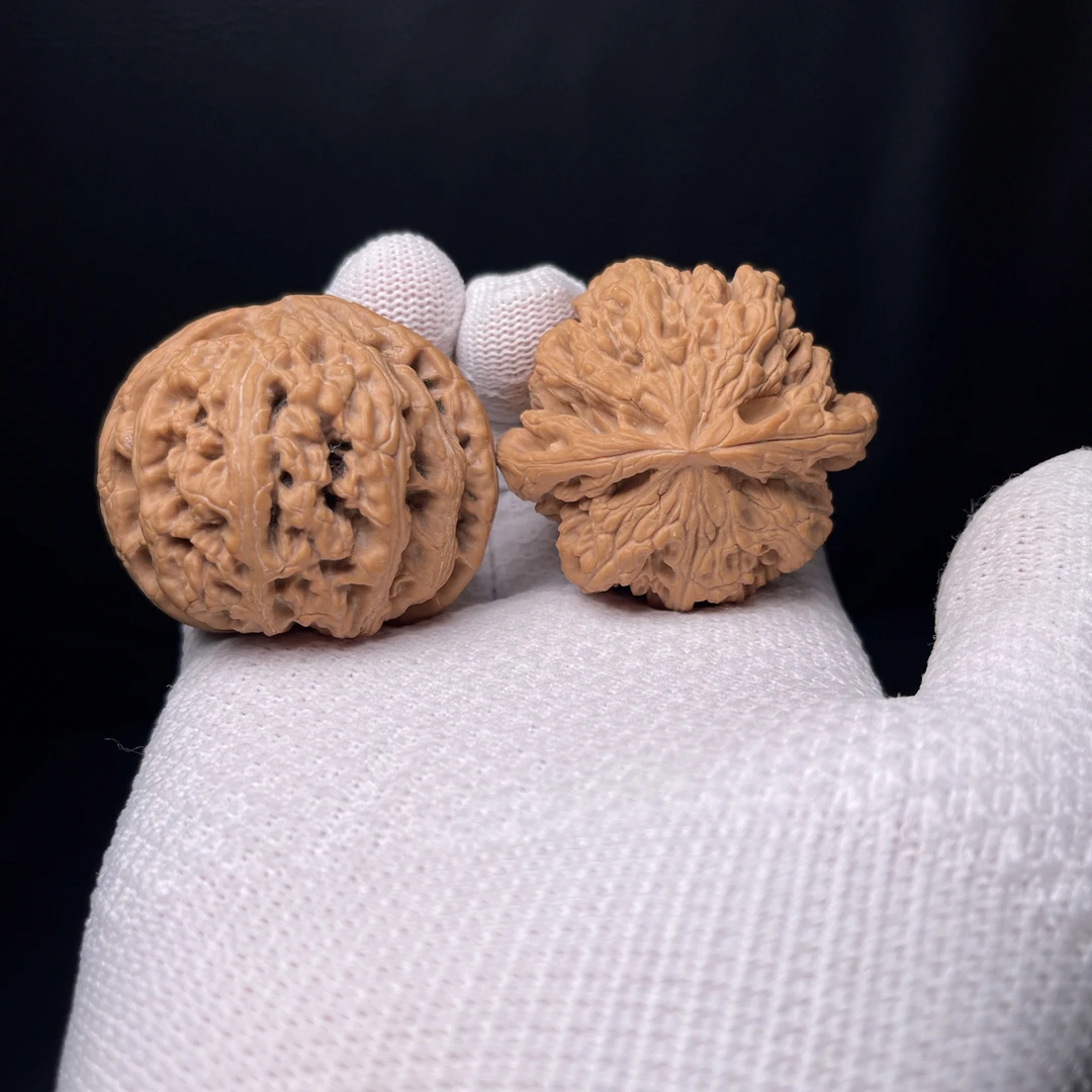 文玩核桃大粗筋狮子头八筋聚顶尺寸49（编号a258）