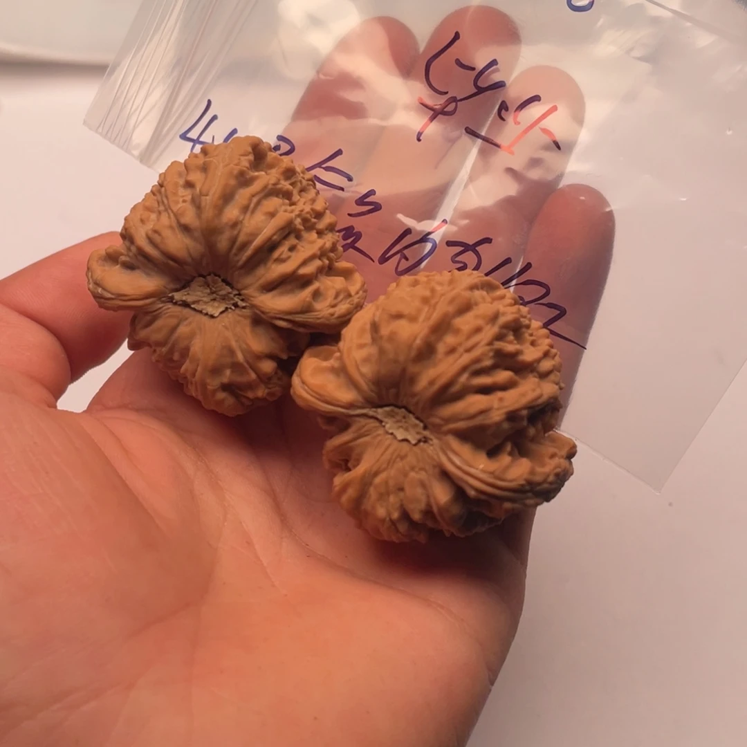 核桃手串/手链0666