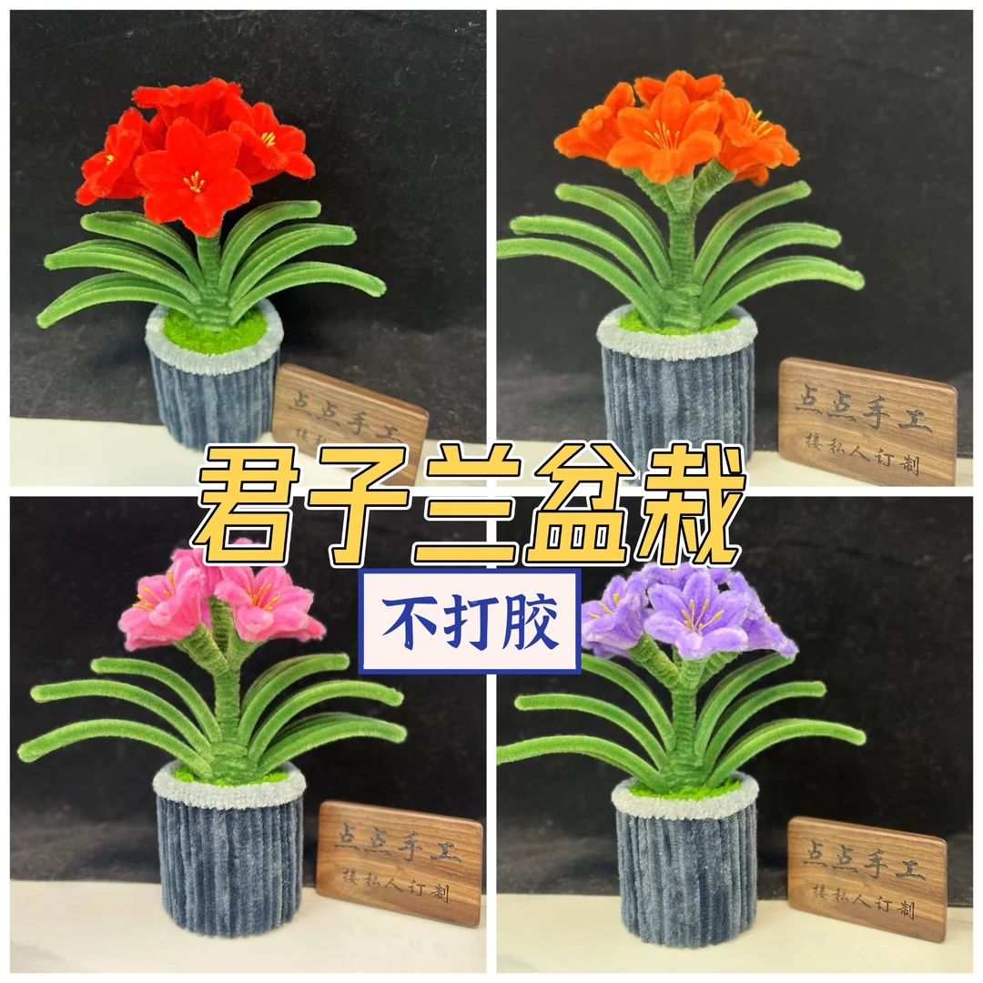 【君子兰】车载盆栽春节元宵祝福字扭扭棒毛根手工DIY材料包