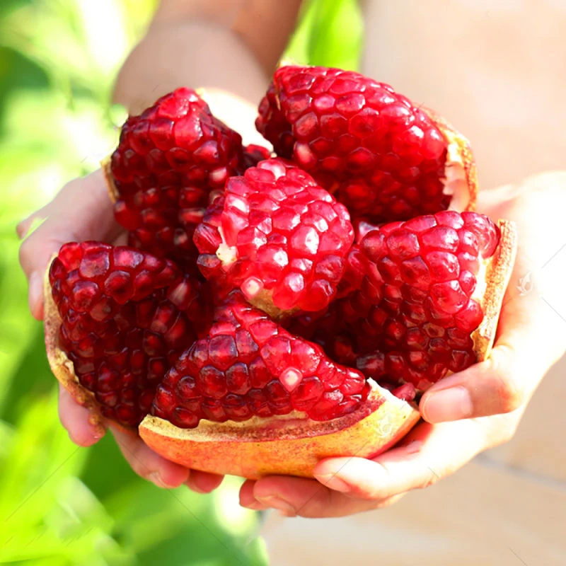 软籽石榴苹果软籽纯甜石榴新鲜当季水果鲜甜多汁怀远白玉籽石榴