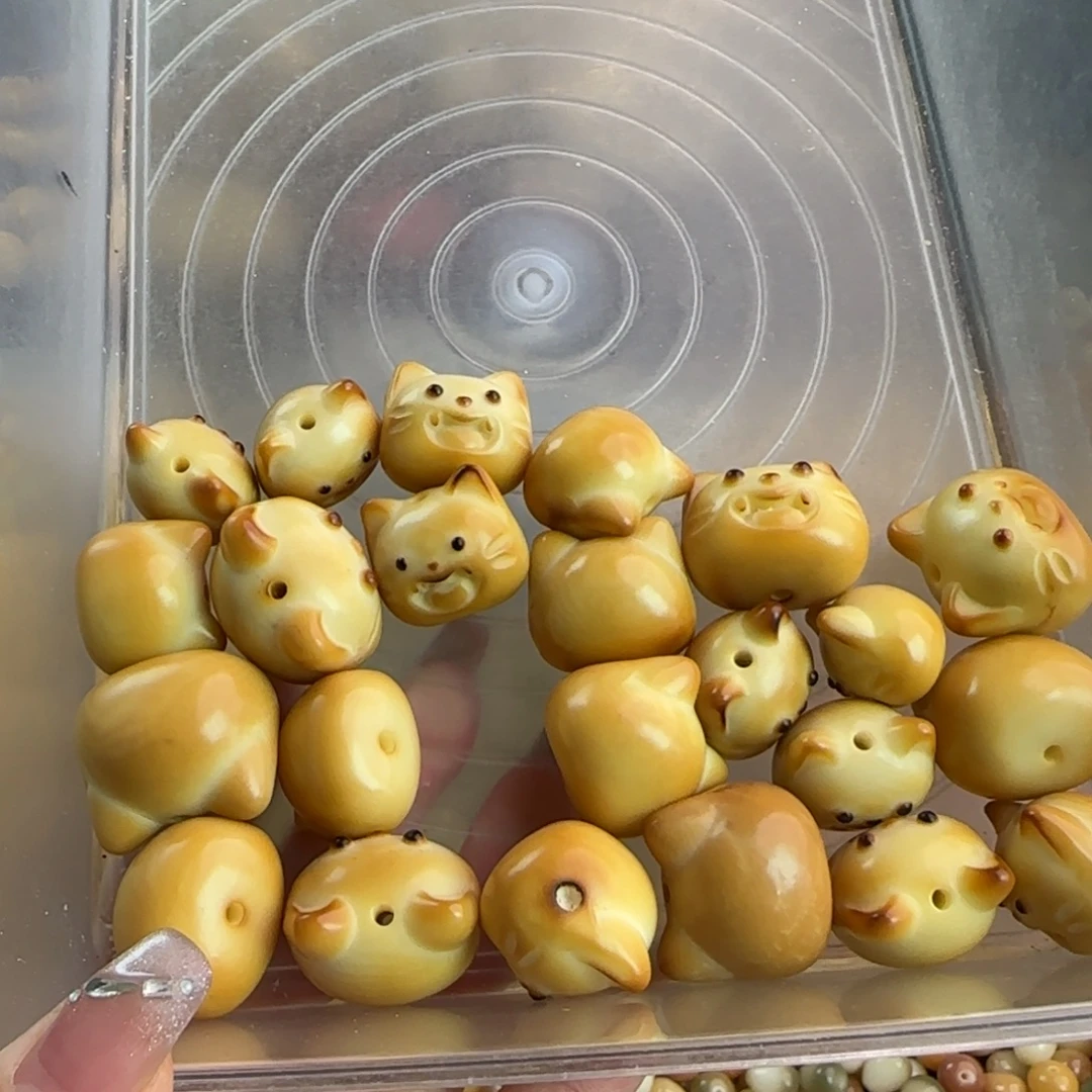 吊坠菩提根/象牙果微瑕牙果呲牙猫23颗