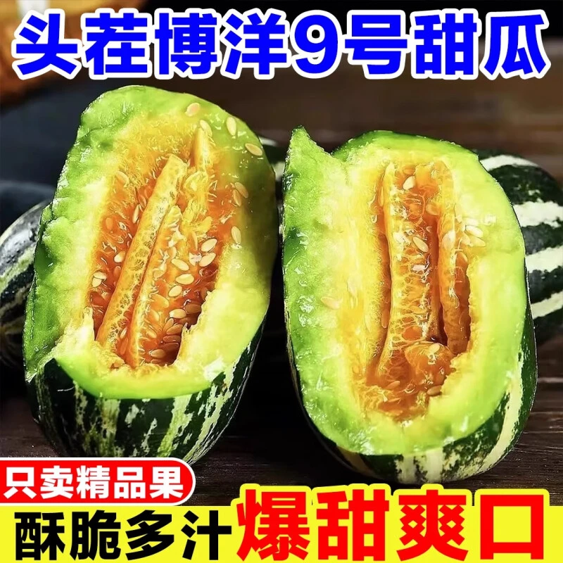 【顺丰包邮】山东博洋9号脆甜蜜瓜现摘现发5斤新鲜应季孕妇水果