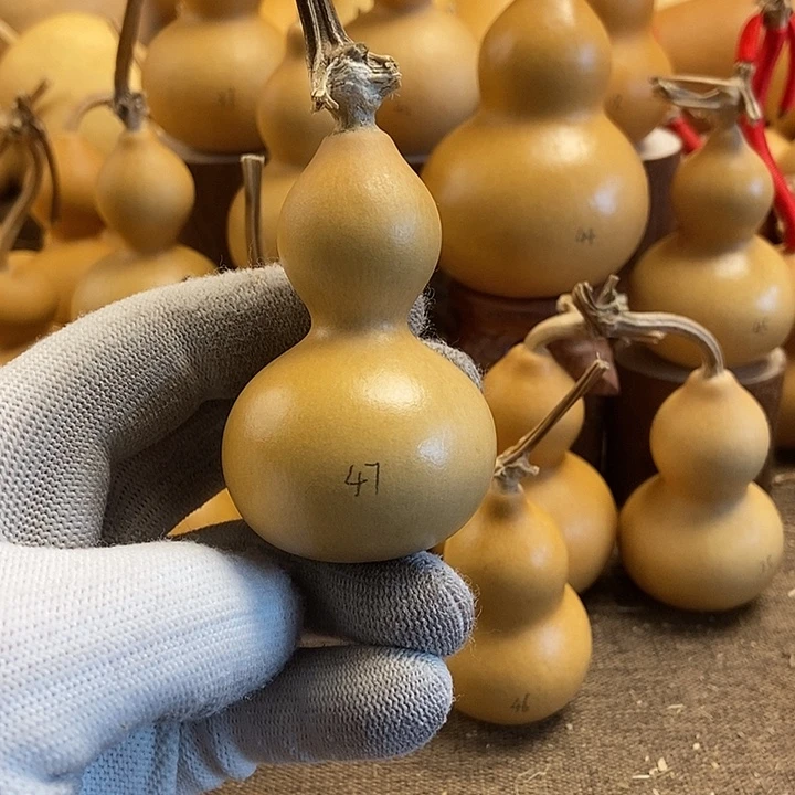 文玩葫芦 完美主义者 慎拍47