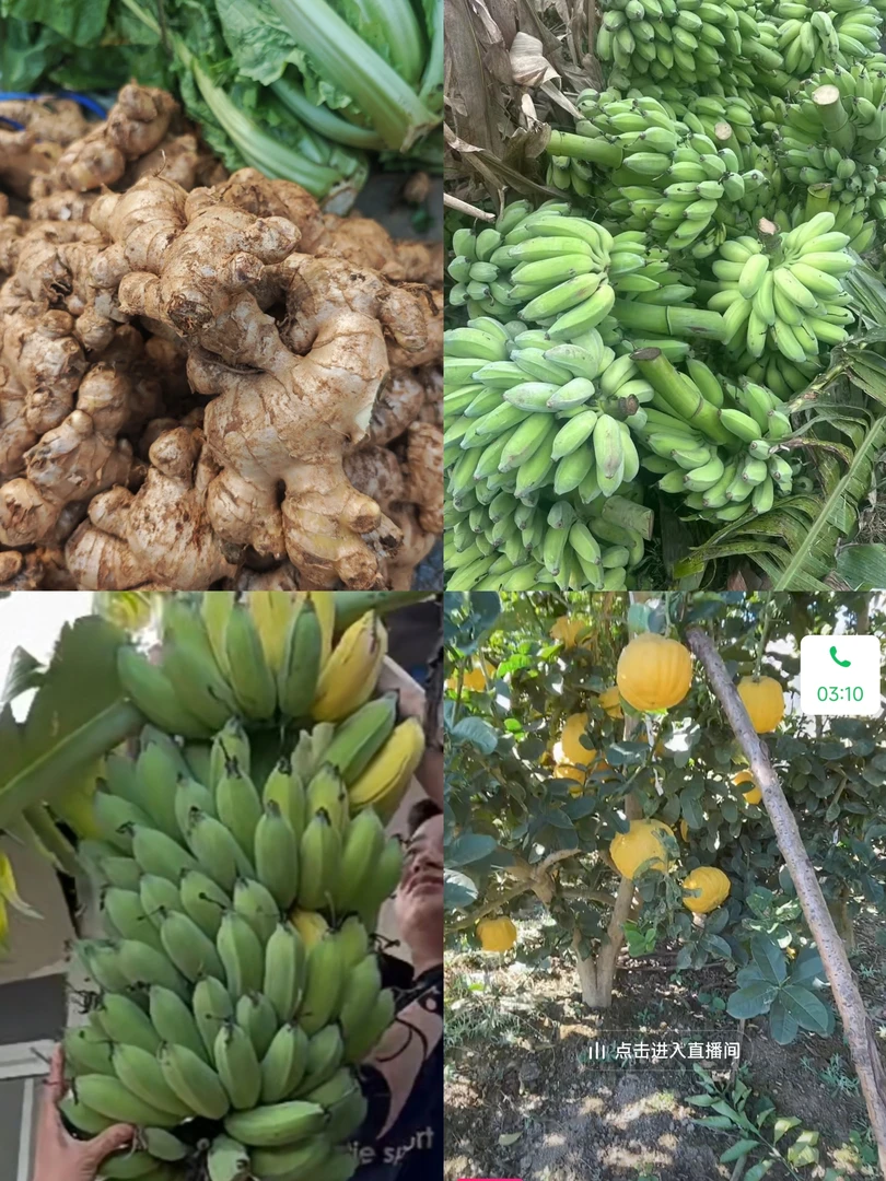 滇缅藏山珍甄选(临～时～改～价)菇