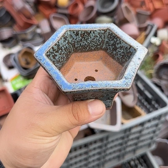 不去看书啊亲爱呢不看电影啦