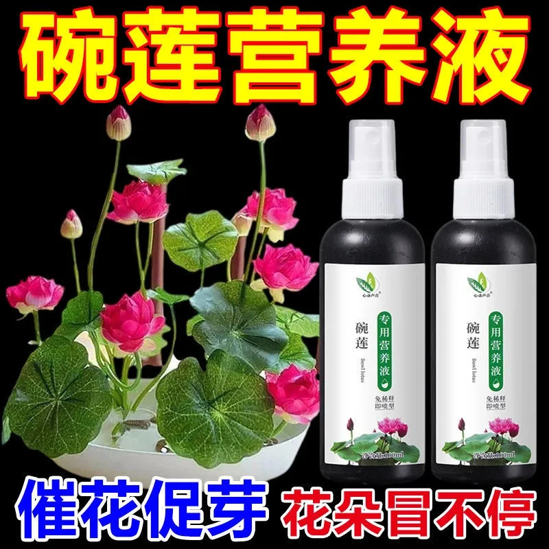 碗莲专用营养液睡莲肥料通用水溶肥庭院水培种子发芽促开花防黄叶