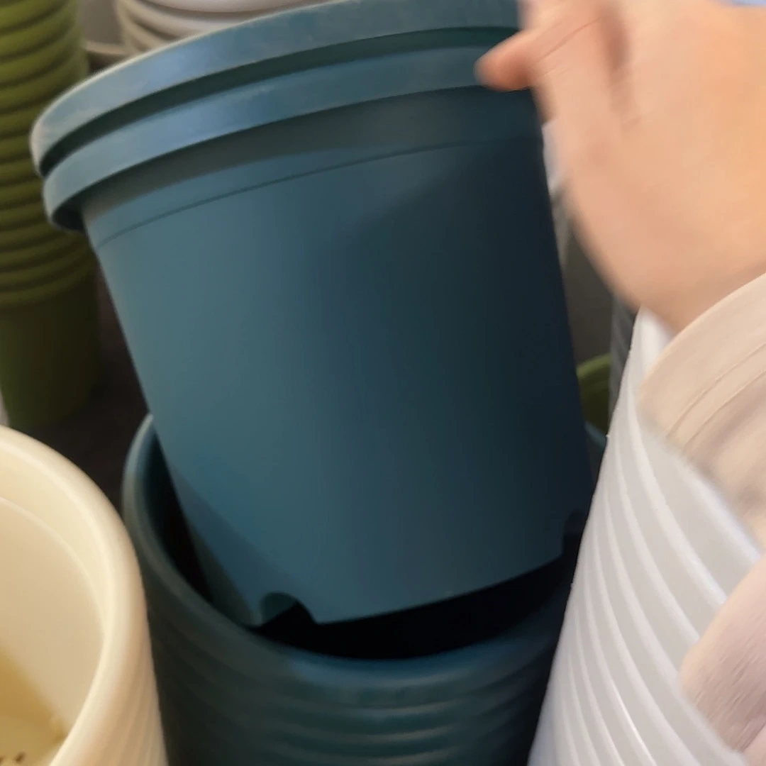 树脂四季5号无托6个，军绿微瑕