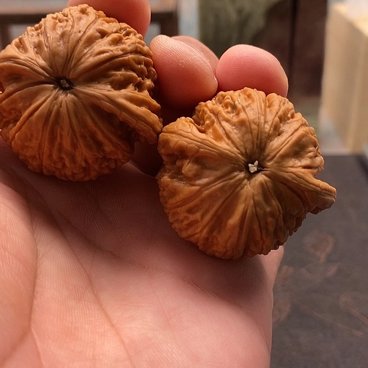 文玩核桃把件原树蛟龙（点修）