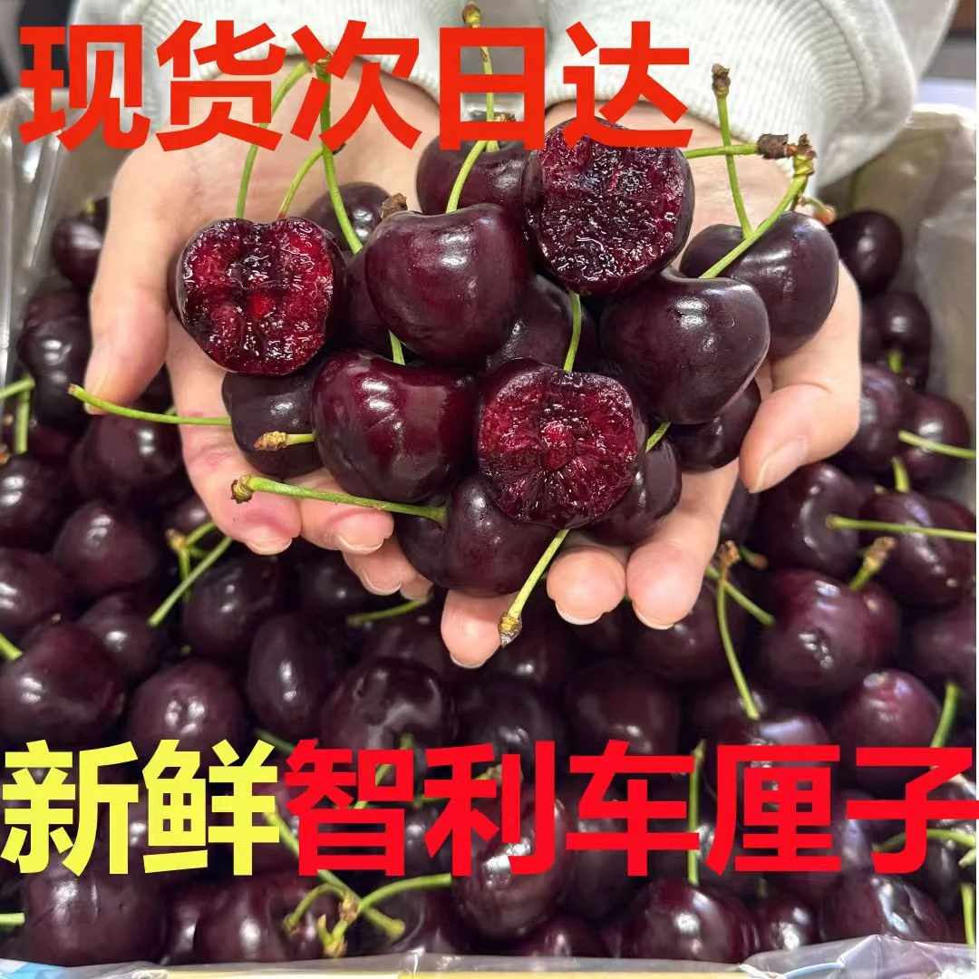 4JDD果王加大加黑【顺丰今天拍明天到】海运智利车厘子内附果径卡