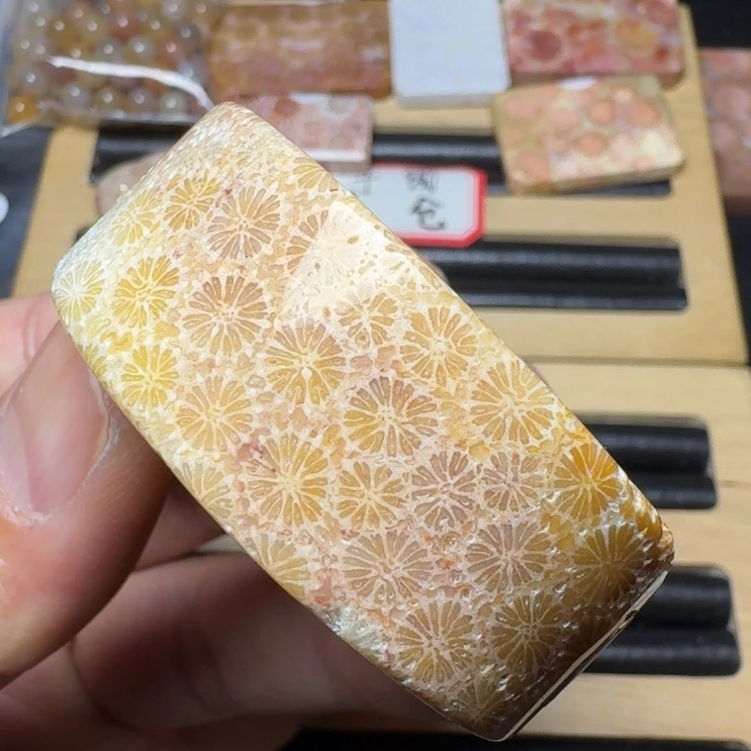 硅化玉纯天然色有机玉石手镯芯未镶嵌