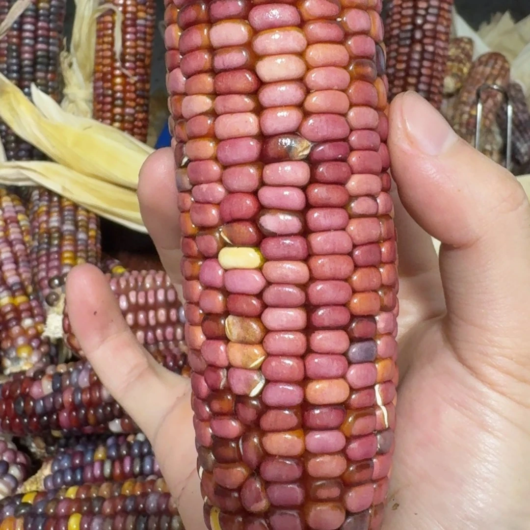 南***意吊坠柏香籽/百香籽