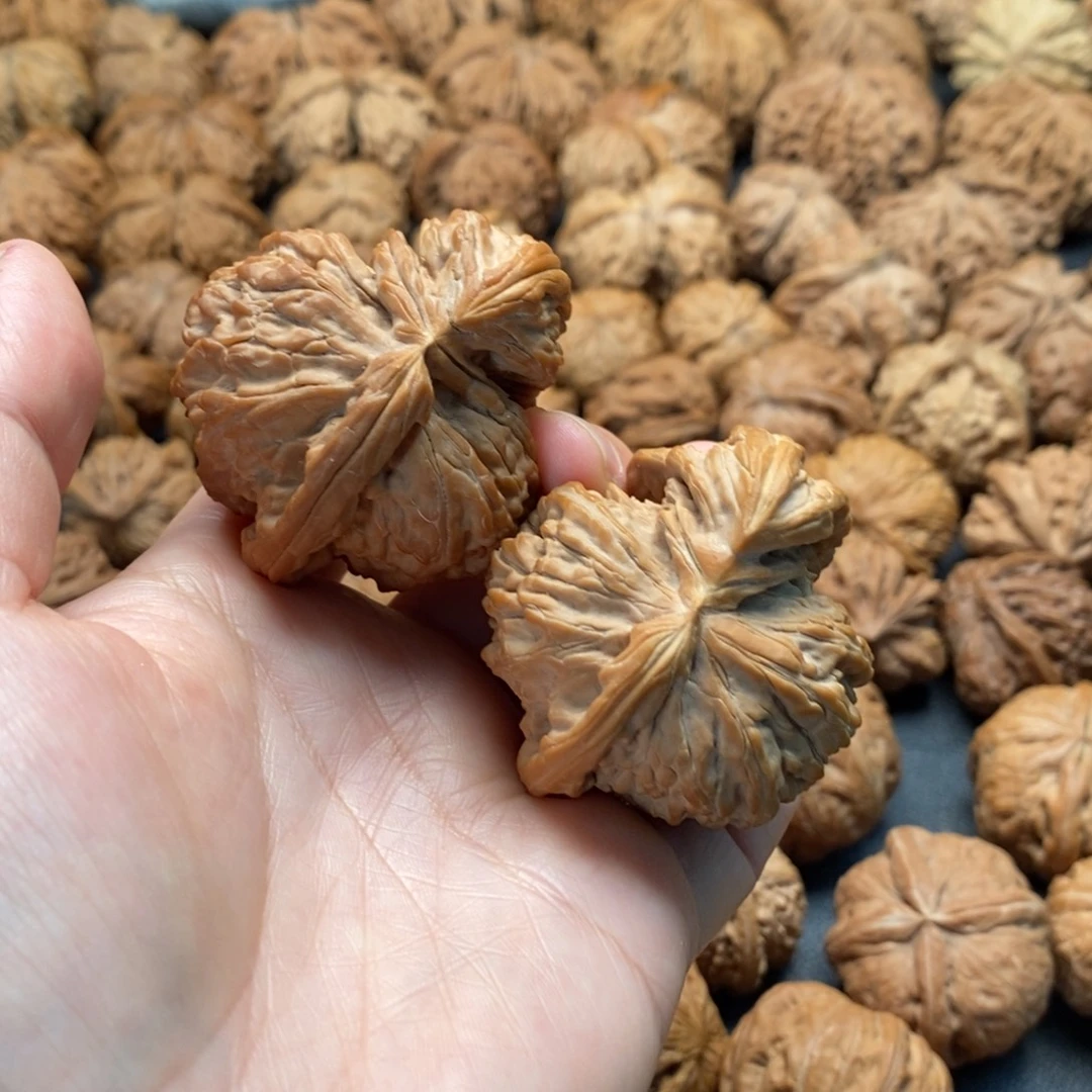 把件文玩核桃48白狮子角