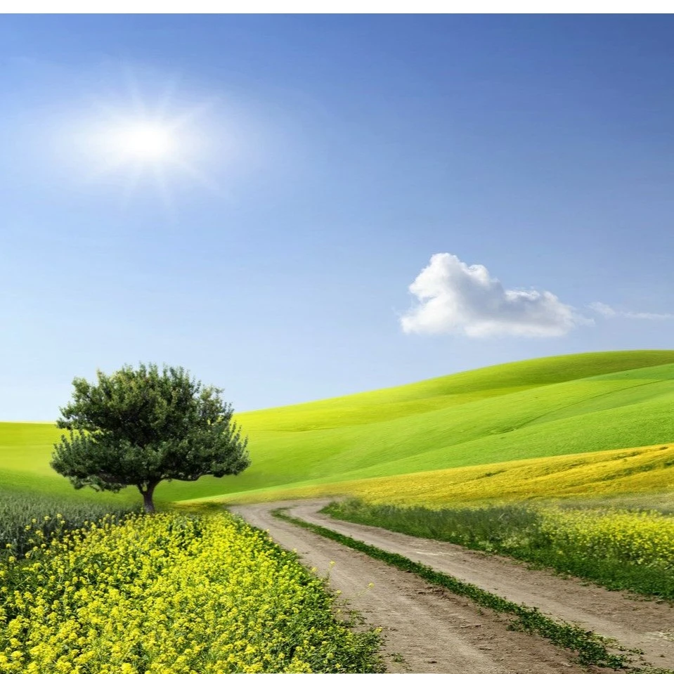 芹 新中式风 桑蚕丝 紫罗兰宋锦马甲 24665