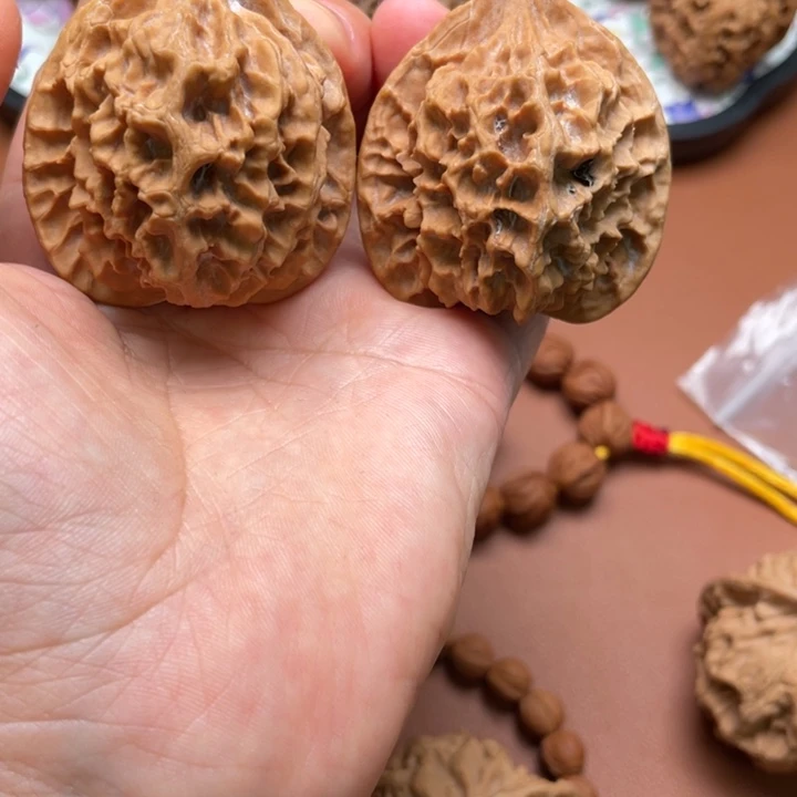 侧***面香榧木我国的经济发展和社会进步是世界上最