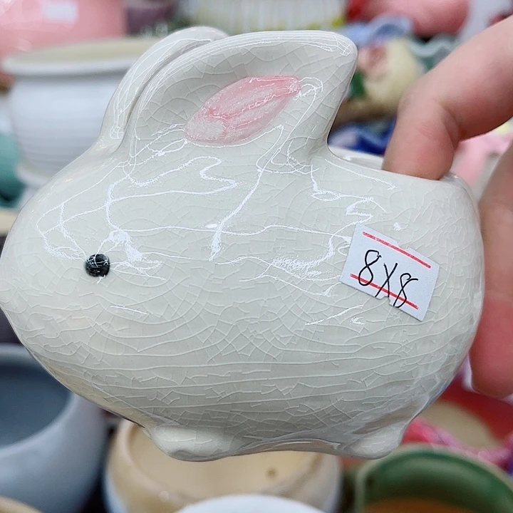 多肉植物陶瓷花盆