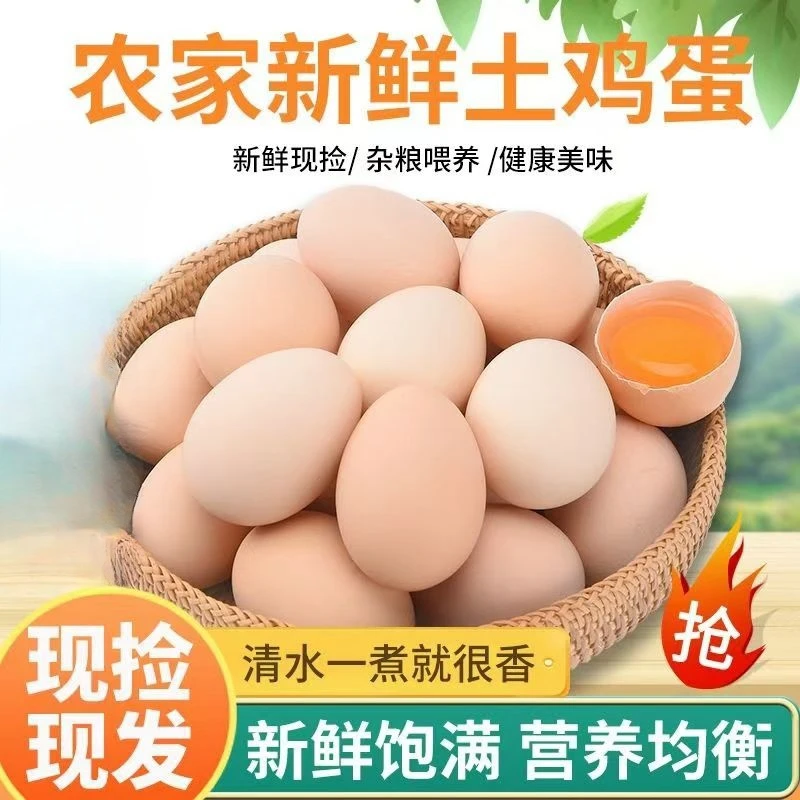 【10枚】新鲜现捡现发土鸡蛋 10枚 包邮