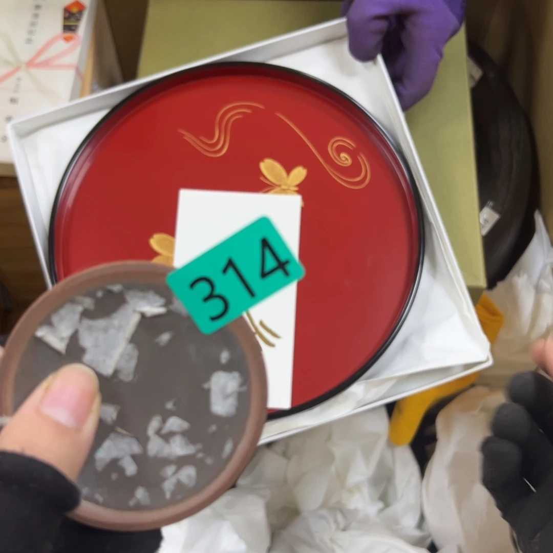 碗菠*哈哈哈哈哈哈哈哈哈