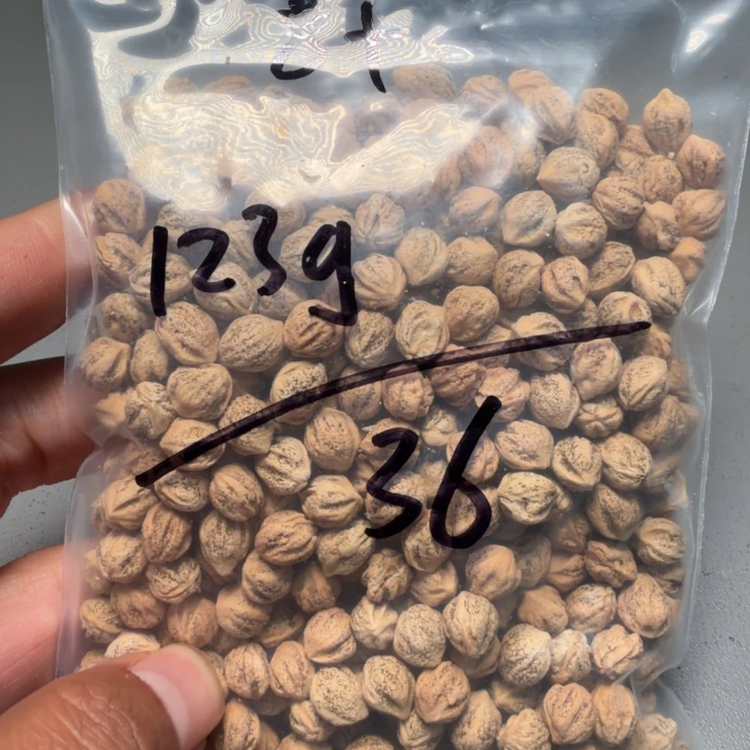 吊坠柏香籽/百香籽圣*月