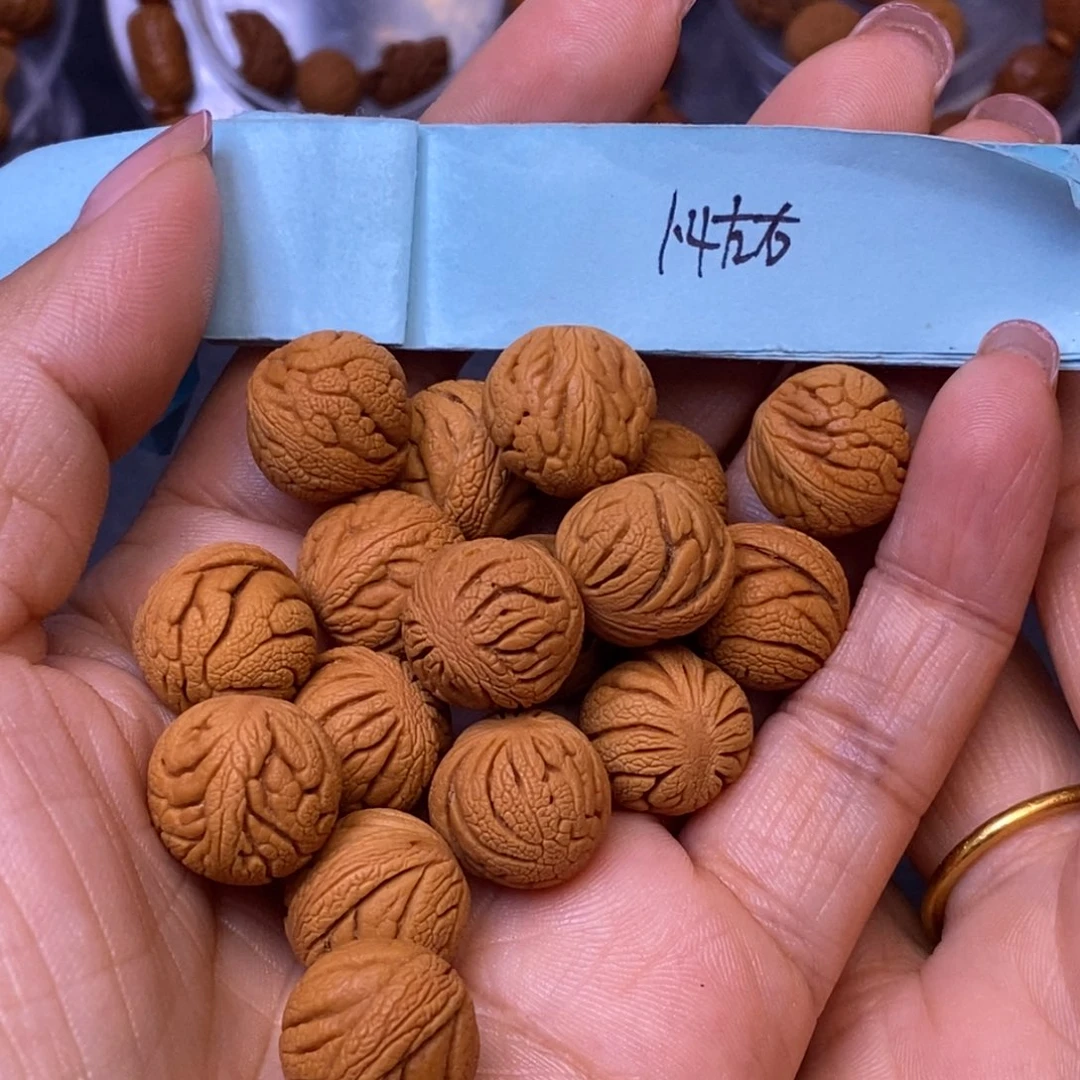 秦岭龙纹桃核17颗
