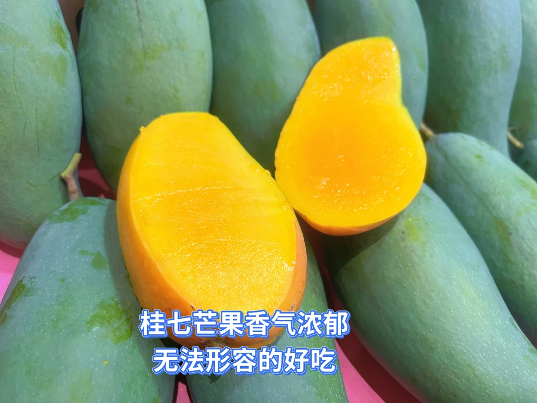 广西百色原产地桂七芒果香气浓郁9斤果