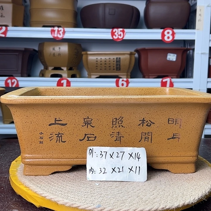 花盆紫砂蛇年大吉