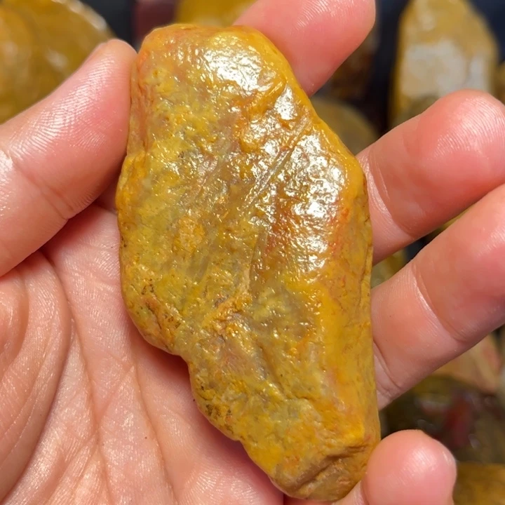 有***灵昌化石国石昌化石