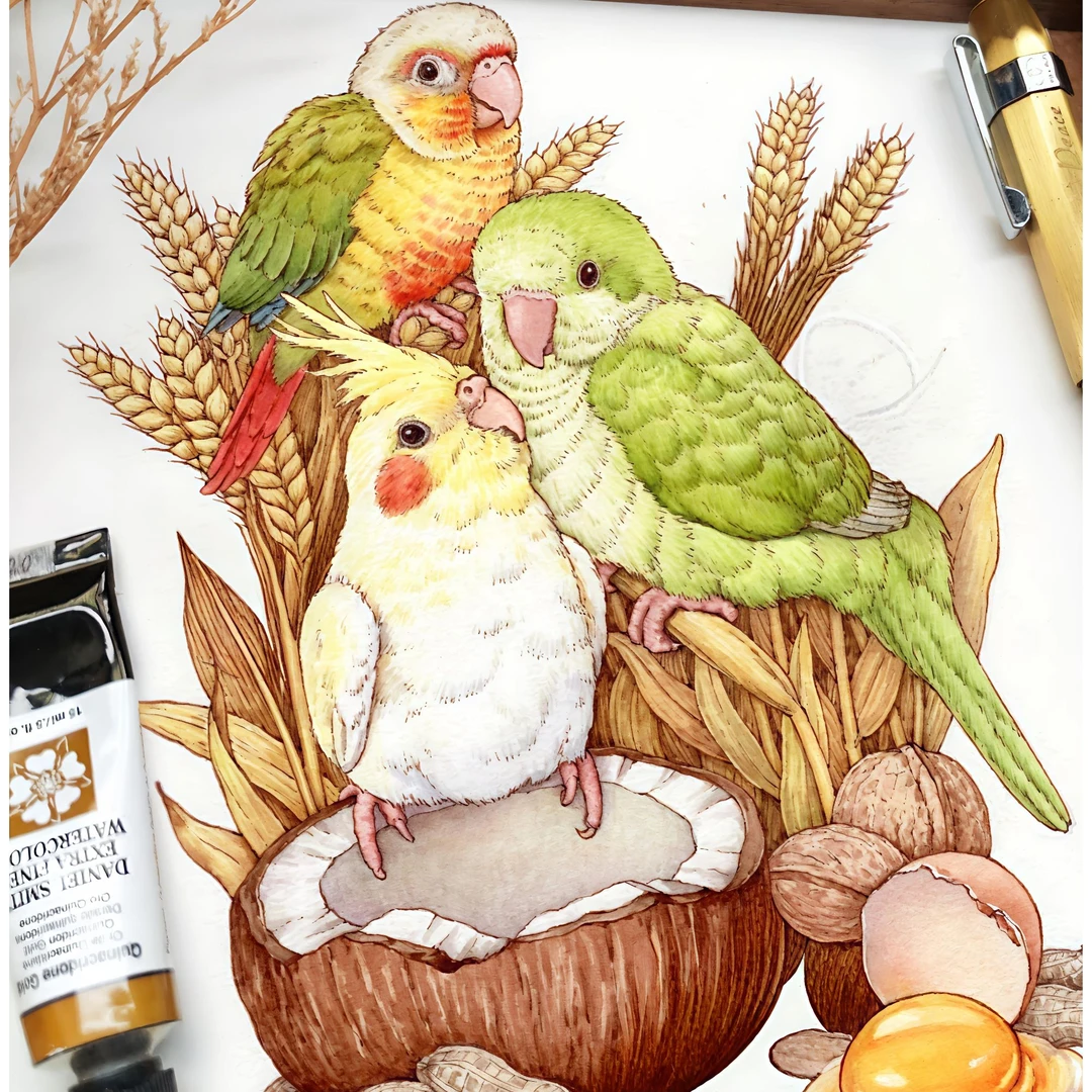 手养宠物活体雏鸟可学舌亲人手养牡丹