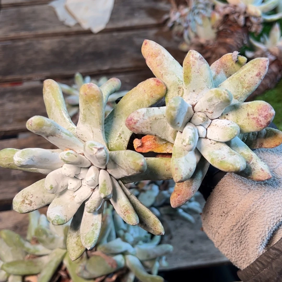 8450哈哈哈哈哈哈哈哈