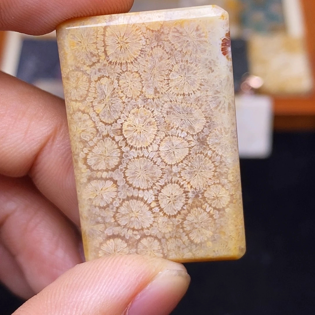 觉***C合金珊瑚玉硅化玉