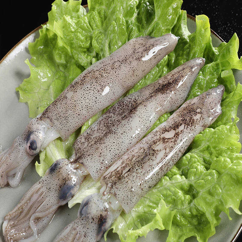 新鲜冷冻原汁笔管鱼450g/包 9-12只/包 到手5包 海鲜水产