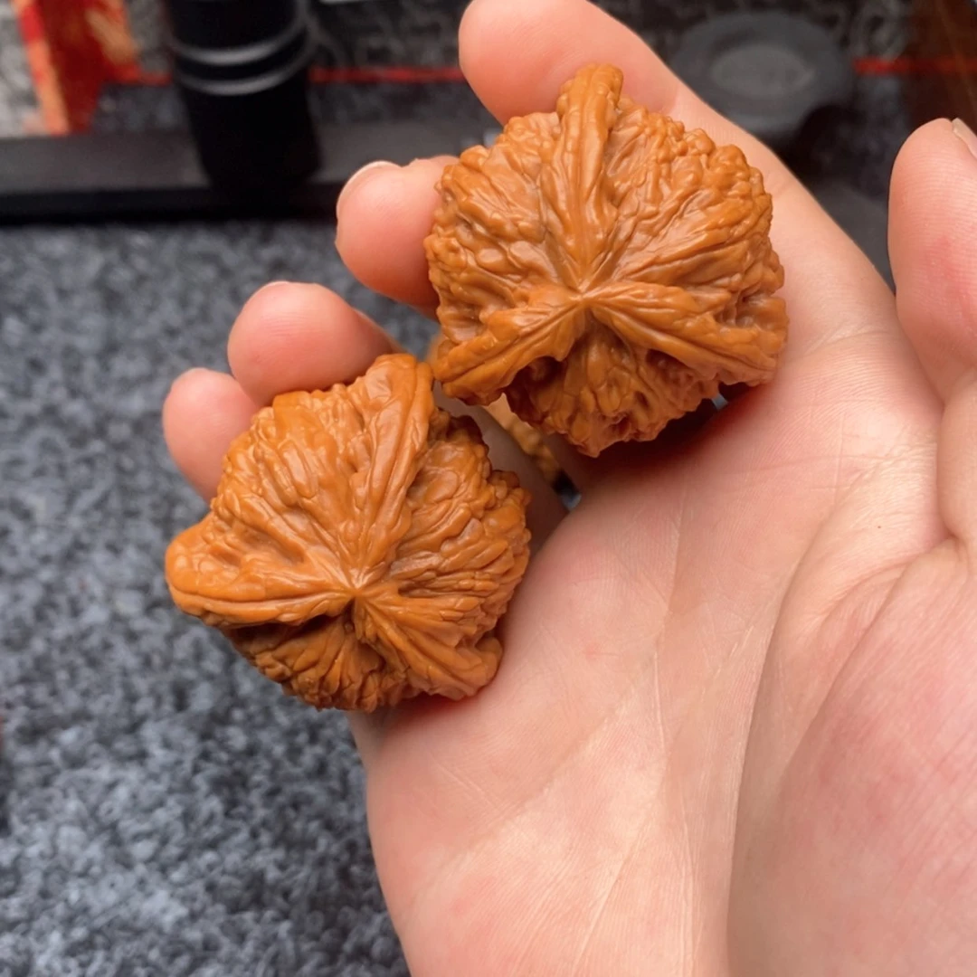 【闪购商品】半****.白狮子