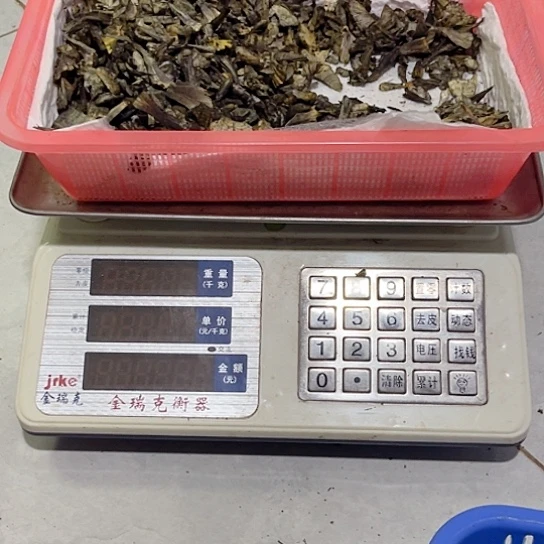 干巴菌超好吃中国大陆
