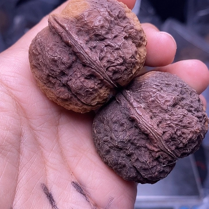 把件文玩核桃   259