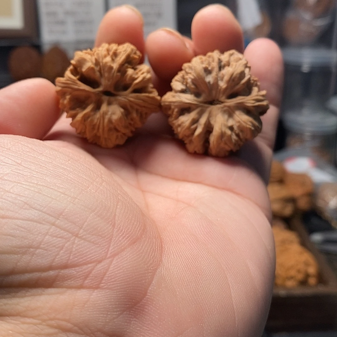 文玩核桃蓟县毒蟾444