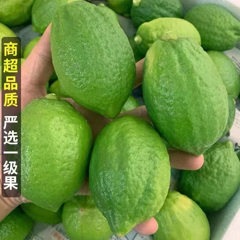 广东香水柠檬一级果无籽爆香新鲜多汁奶茶店专用青皮柠檬
