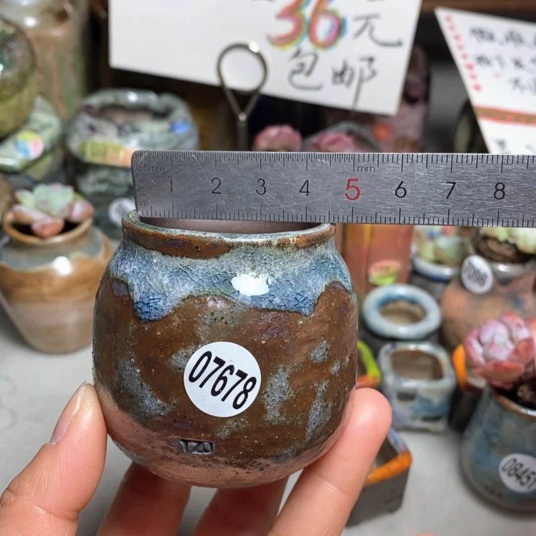 花盆拍5送一个小礼物