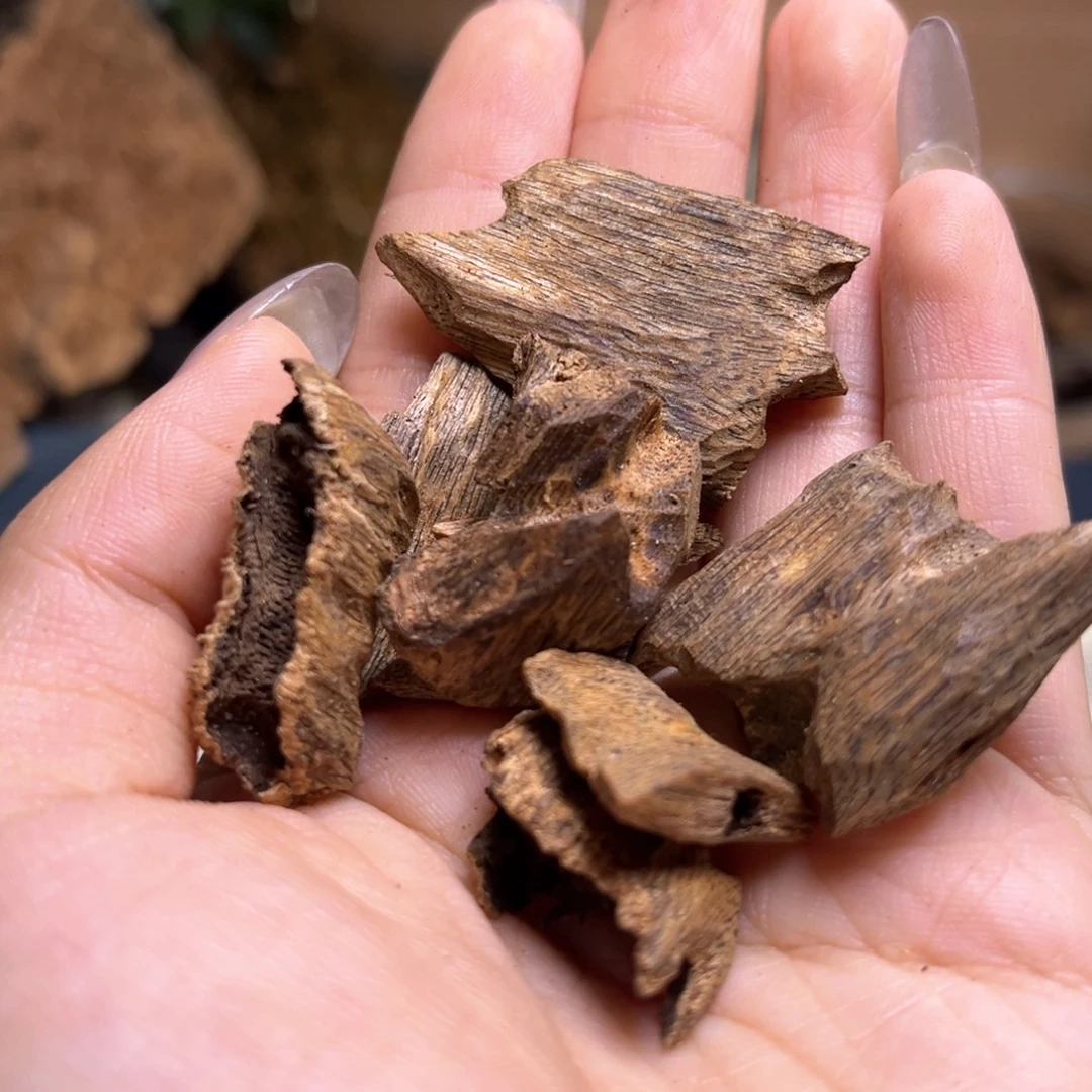 香榧木海南种植莺歌绿奇楠10克